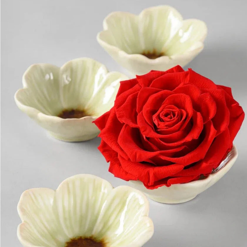 4 Piece Floral Ceramic Bowls Set